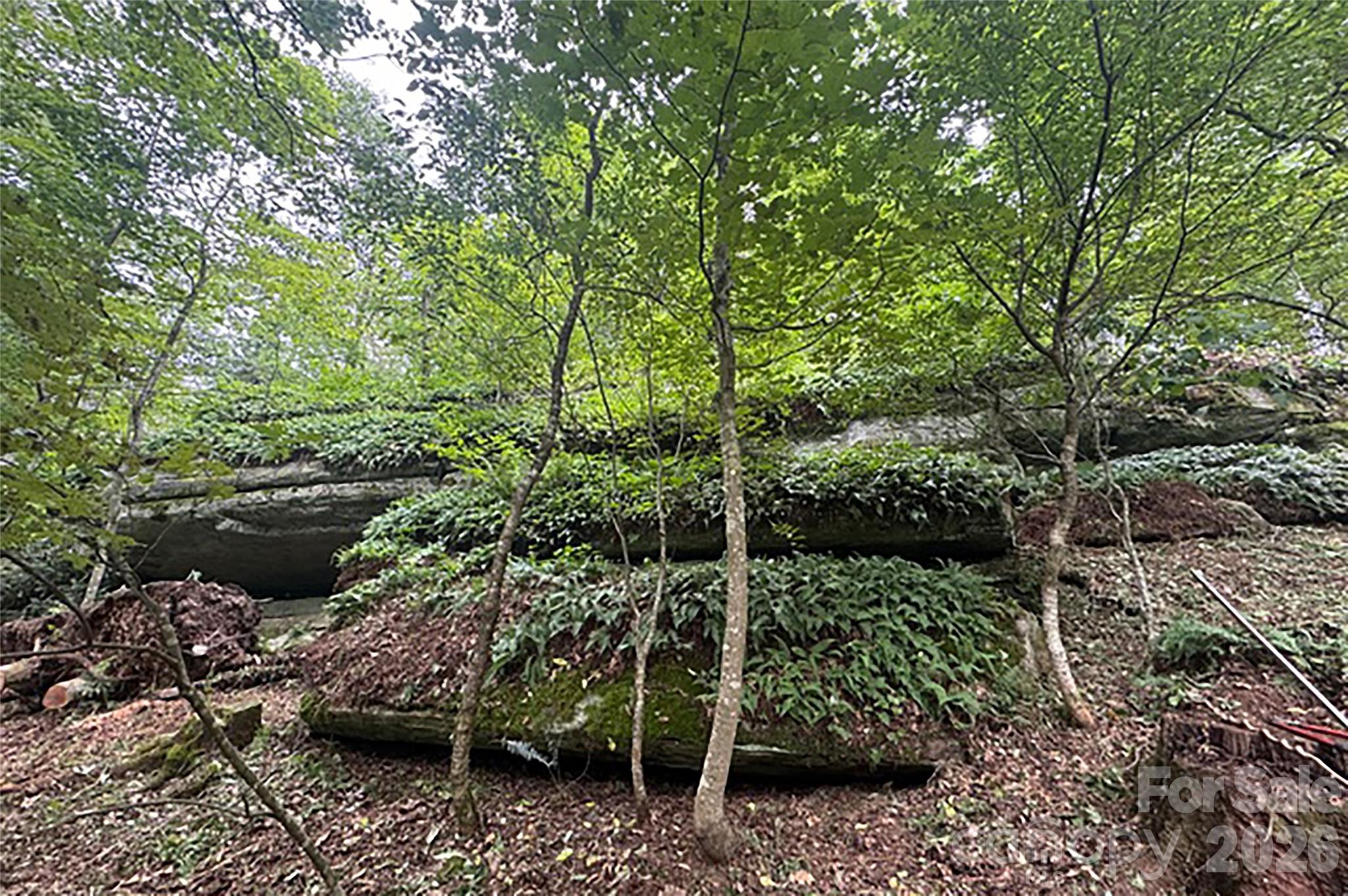 000 Laurel Ledge Way Fletcher NC 28732