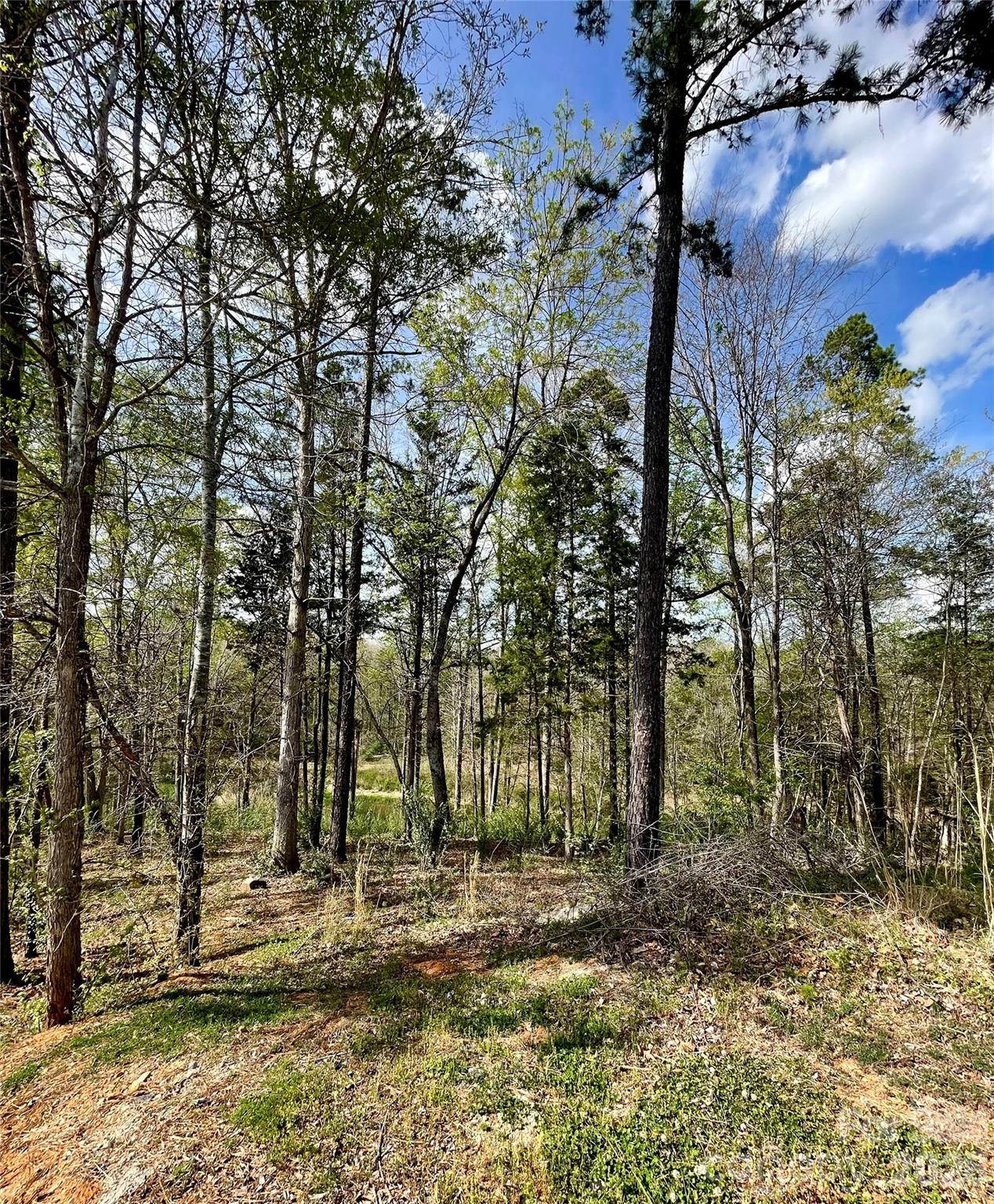 2409 Falling Leaf Court Rock Hill SC 29732