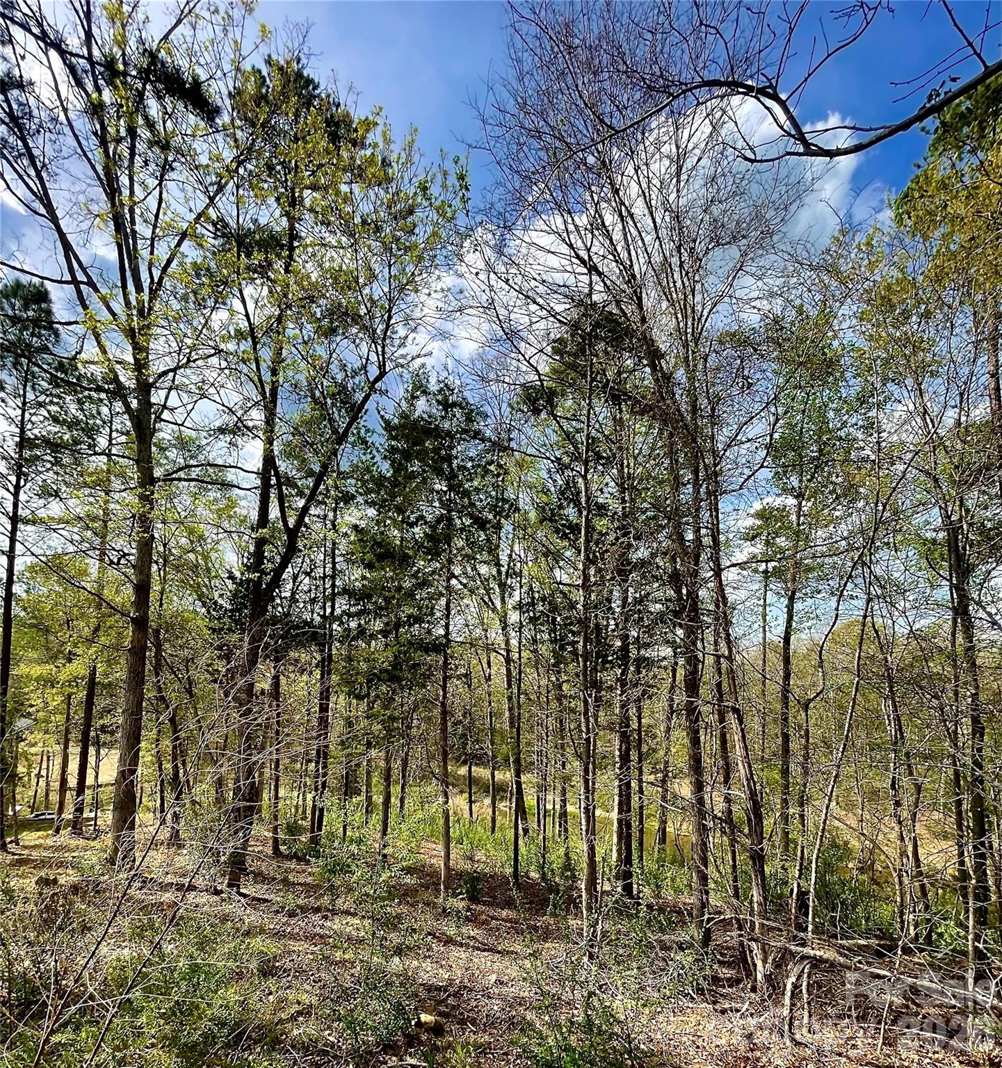 2409 Falling Leaf Court Rock Hill SC 29732