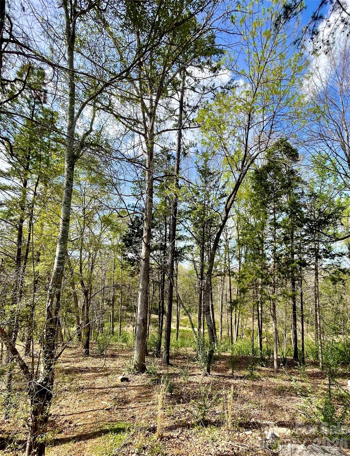 2409 Falling Leaf Court Rock Hill SC 29732