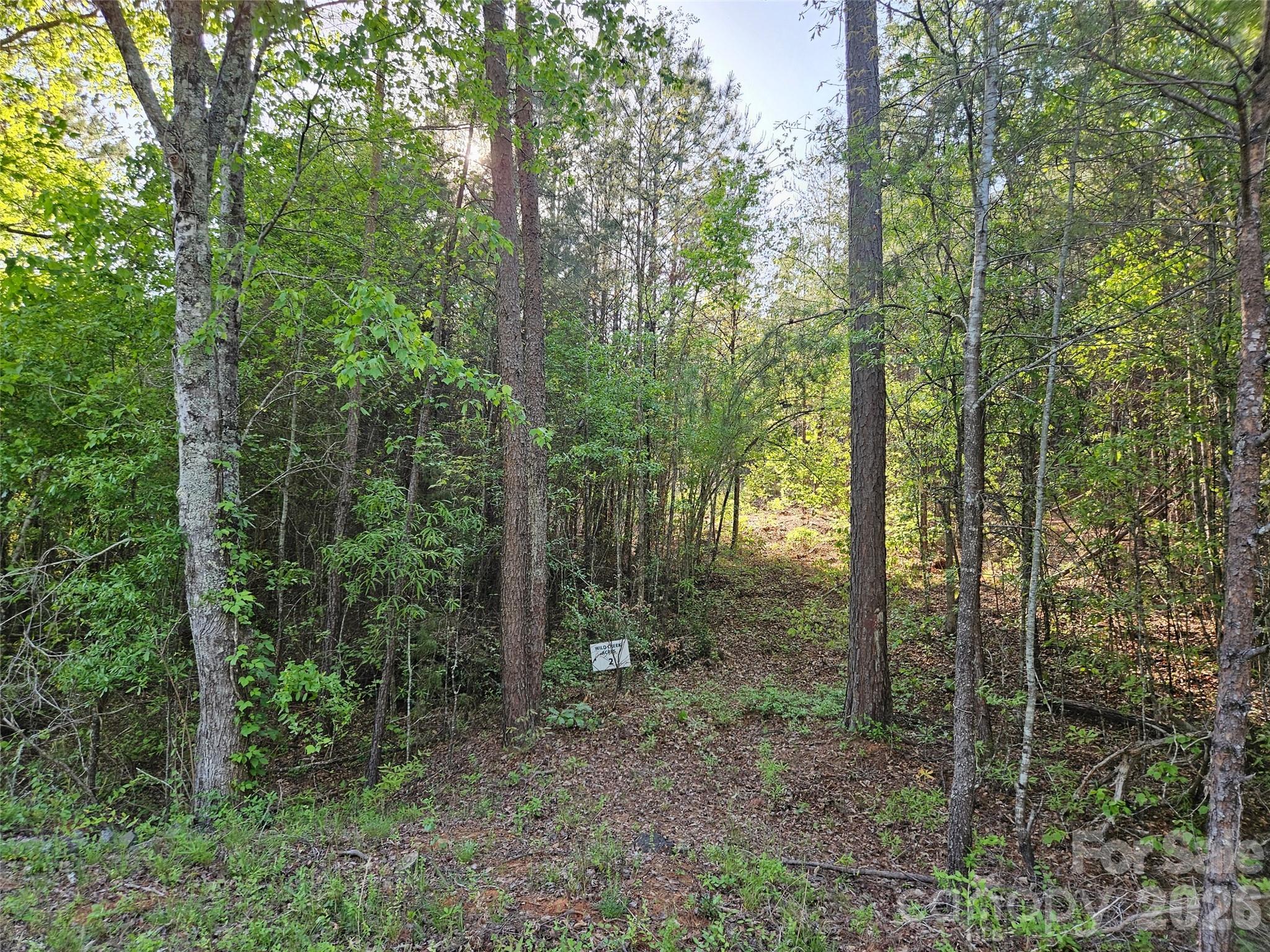0 Old Hollis Road Ellenboro NC 28040
