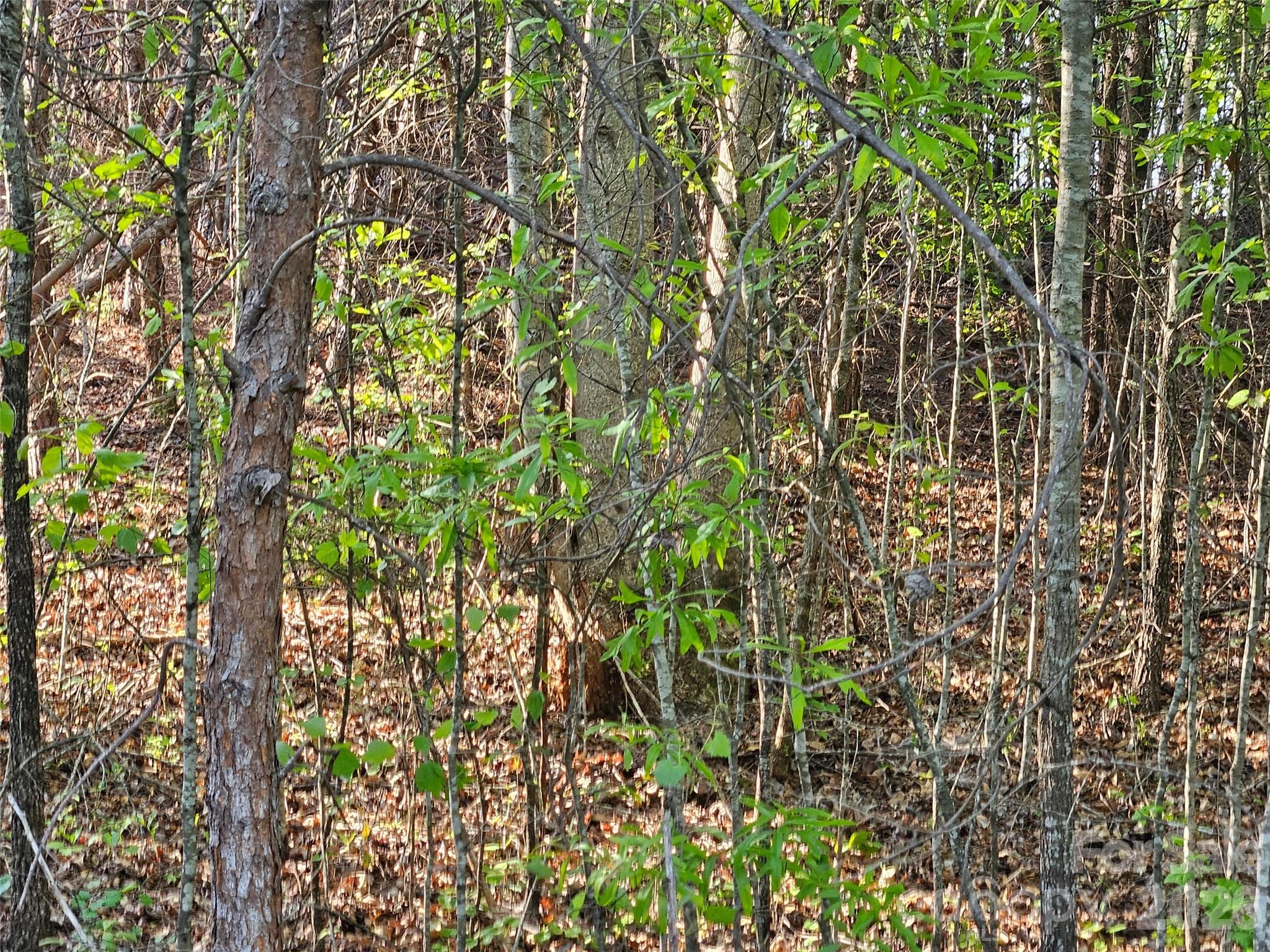 0 Old Hollis Road Ellenboro NC 28040