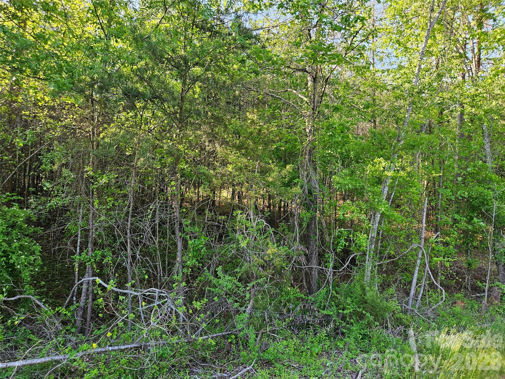 0 Old Hollis Road Ellenboro NC 28040