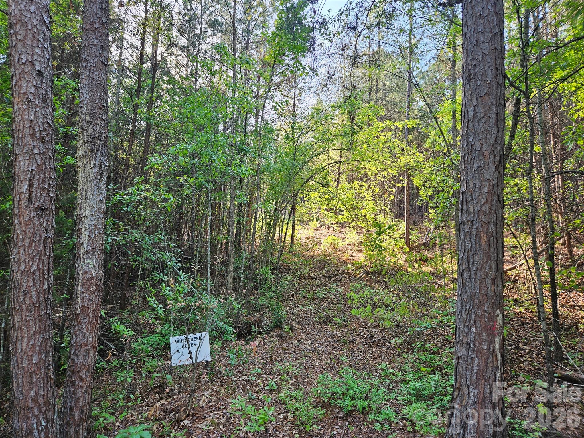 0 Old Hollis Road Ellenboro NC 28040
