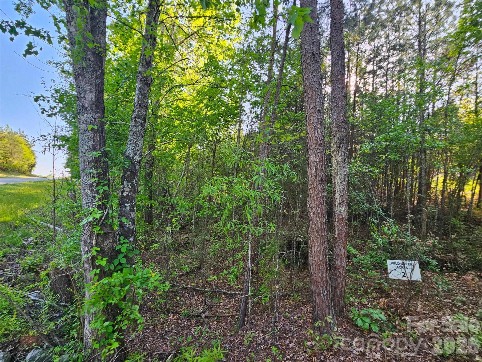 0 Old Hollis Road Ellenboro NC 28040