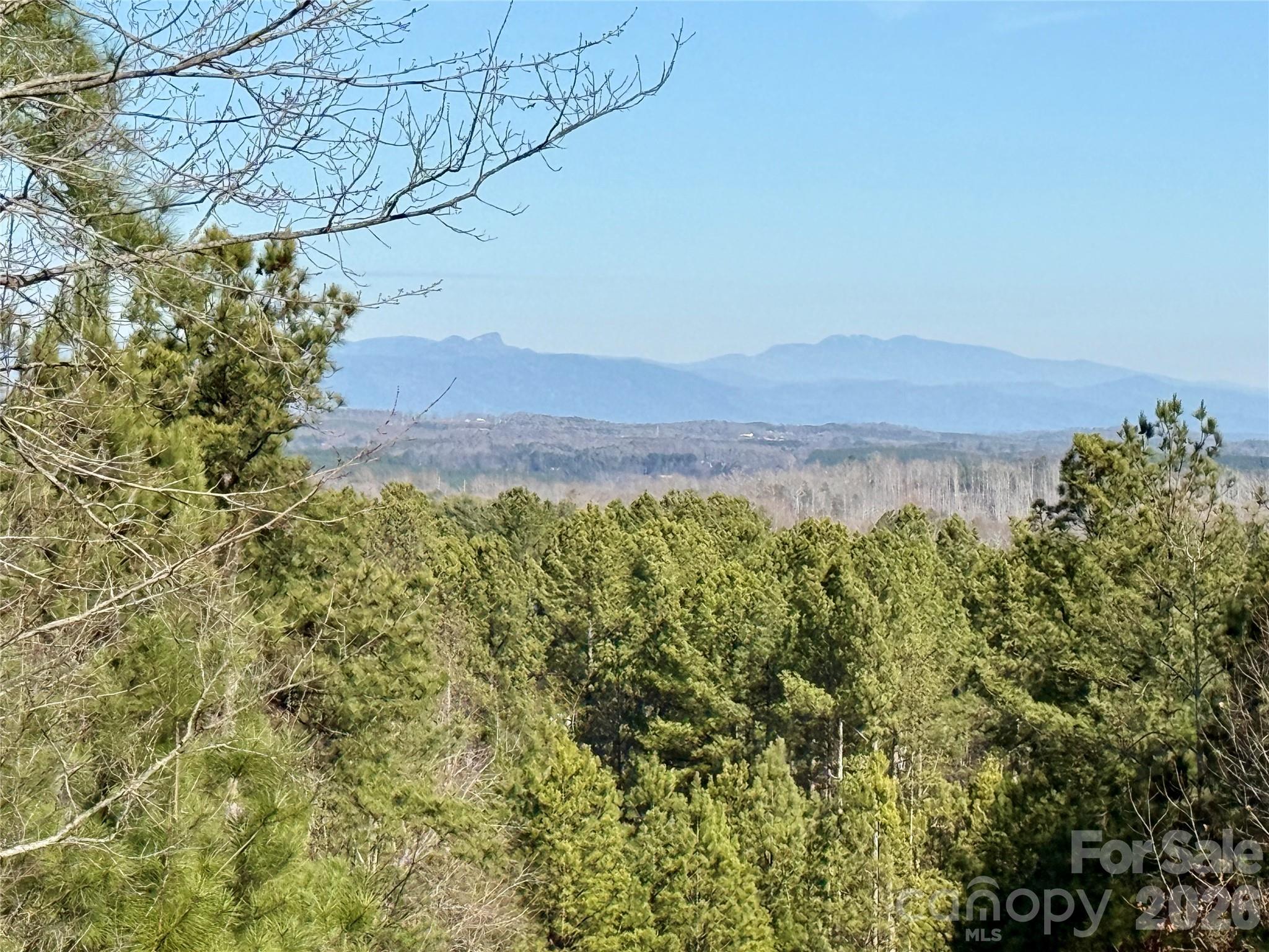 338 Grandview Peaks Drive Nebo NC 28761