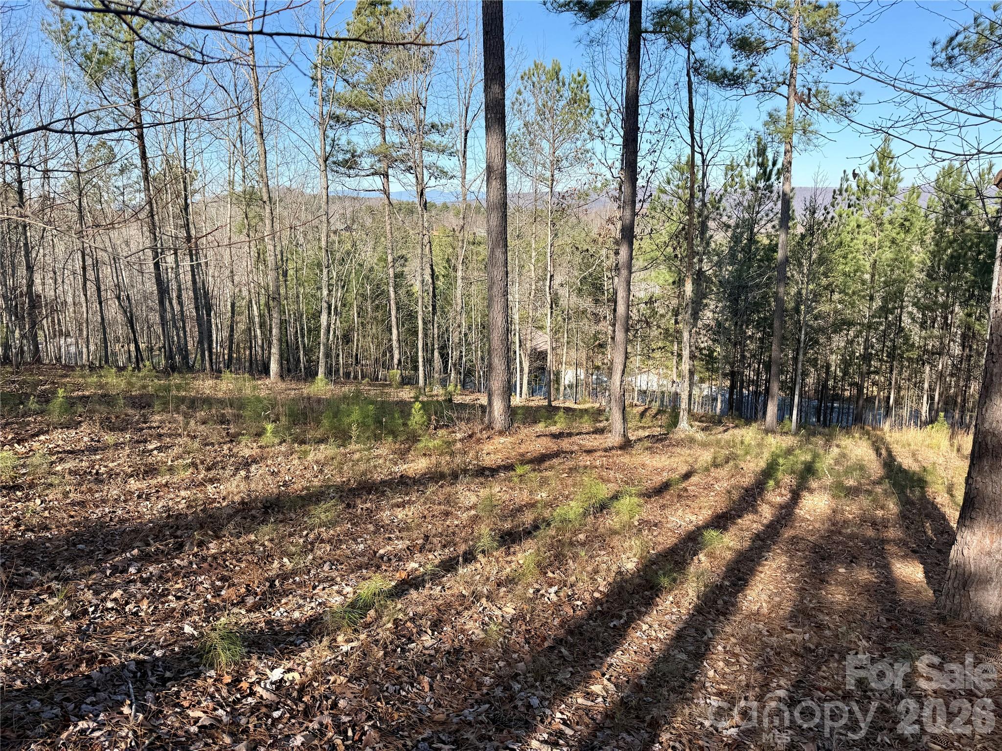 338 Grandview Peaks Drive Nebo NC 28761