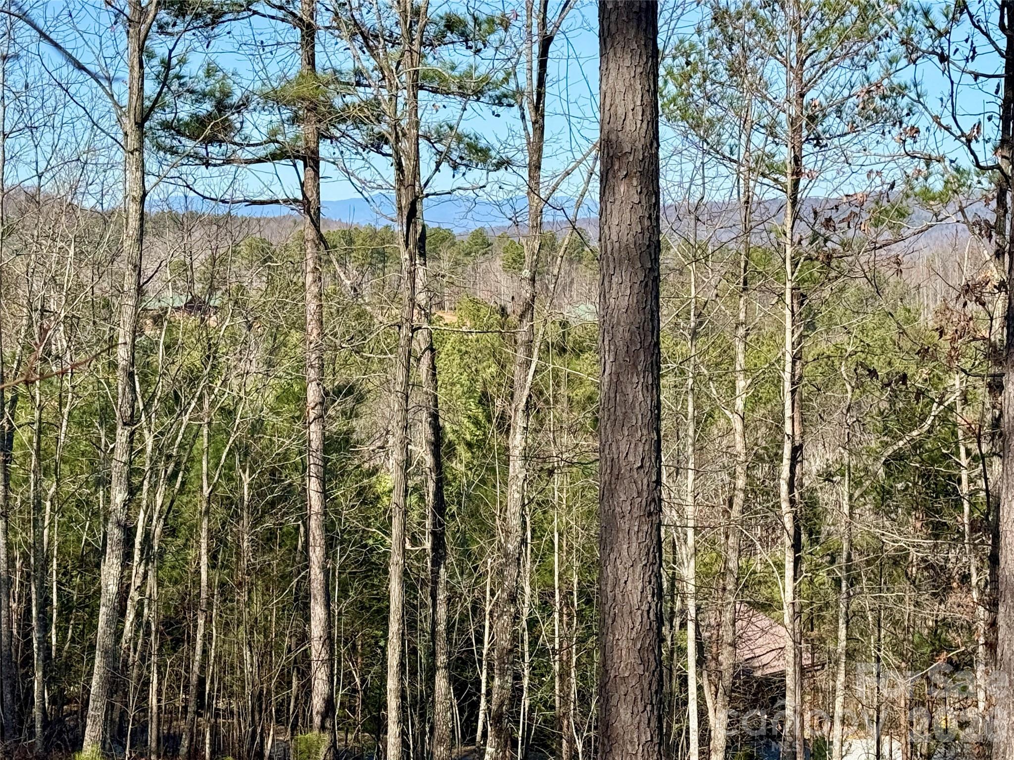 338 Grandview Peaks Drive Nebo NC 28761