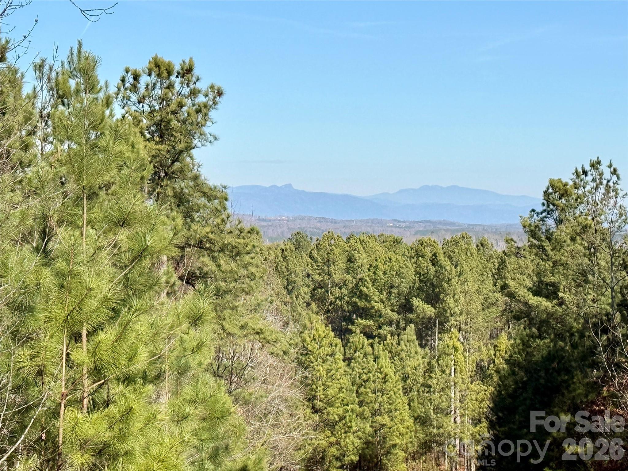 338 Grandview Peaks Drive Nebo NC 28761