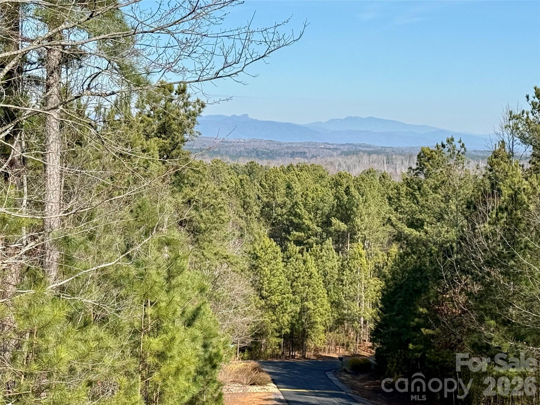 338 Grandview Peaks Drive Nebo NC 28761