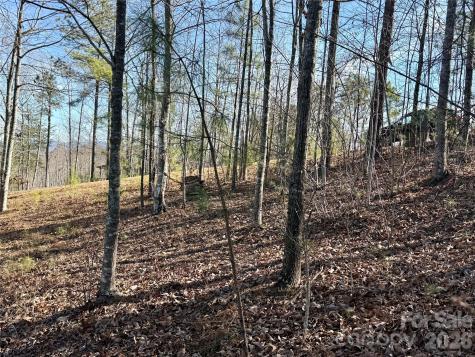 338 Grandview Peaks Drive Nebo NC 28761