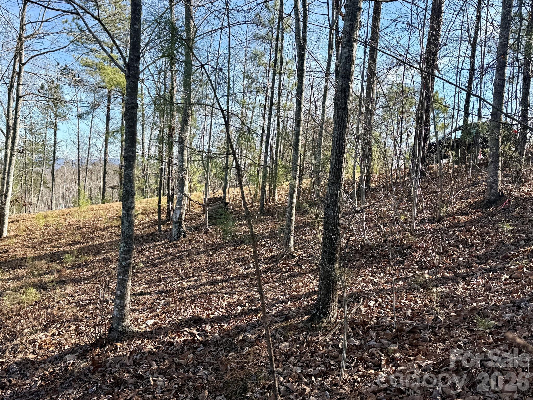 338 Grandview Peaks Drive Nebo NC 28761