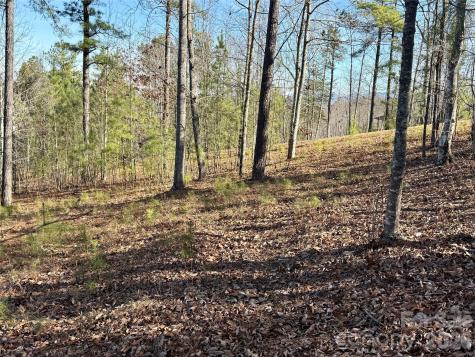 338 Grandview Peaks Drive Nebo NC 28761