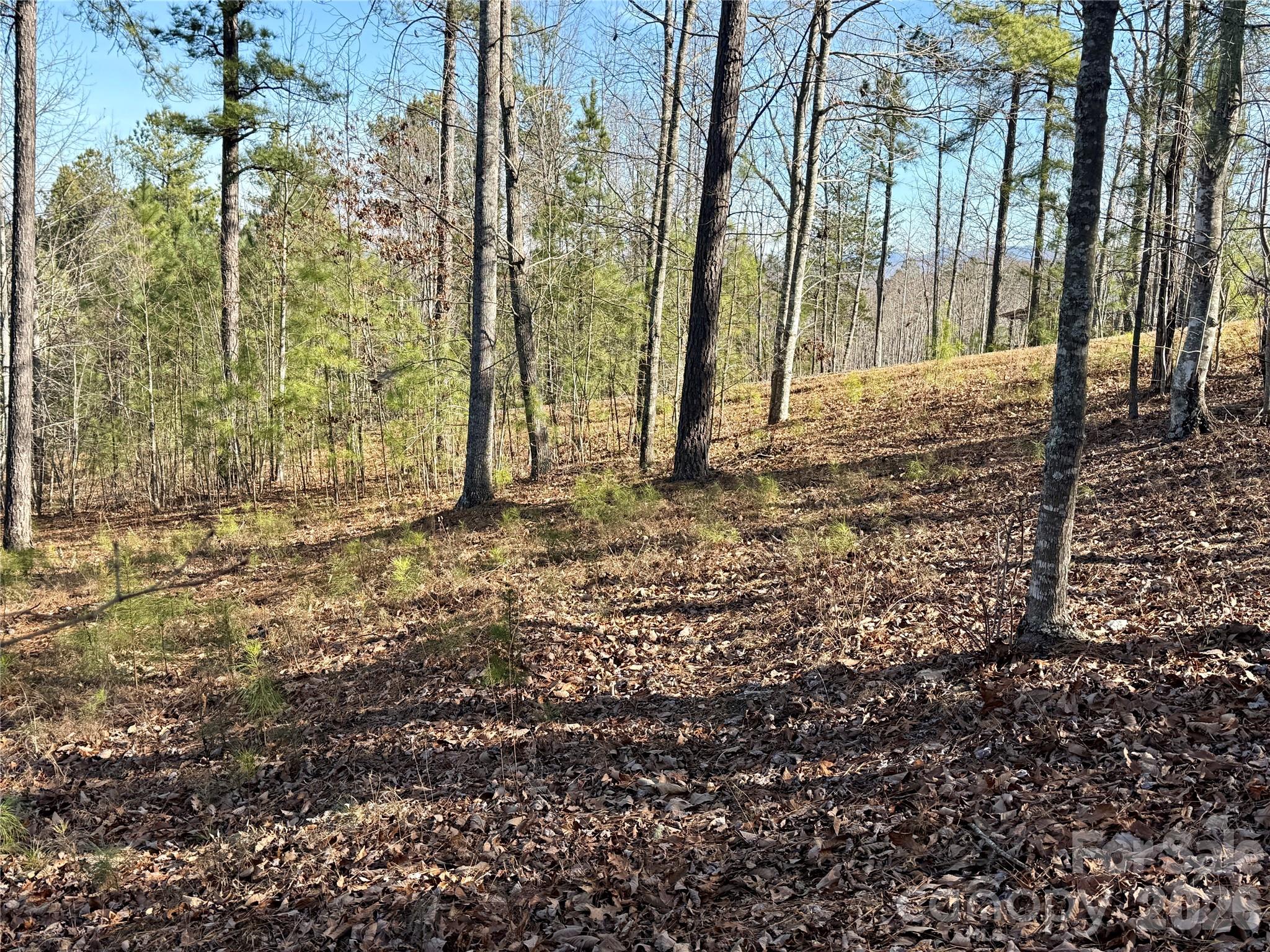 338 Grandview Peaks Drive Nebo NC 28761