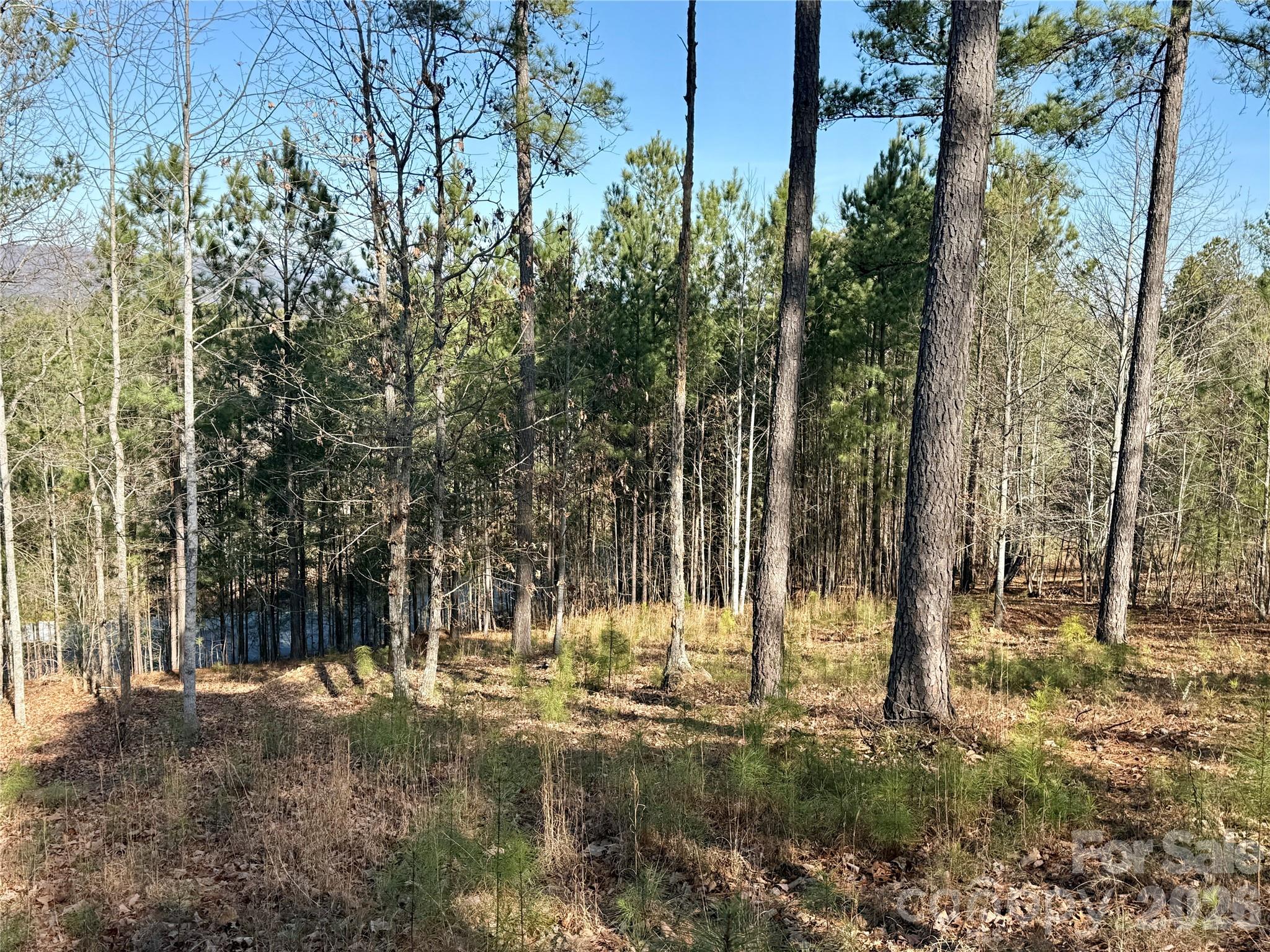338 Grandview Peaks Drive Nebo NC 28761