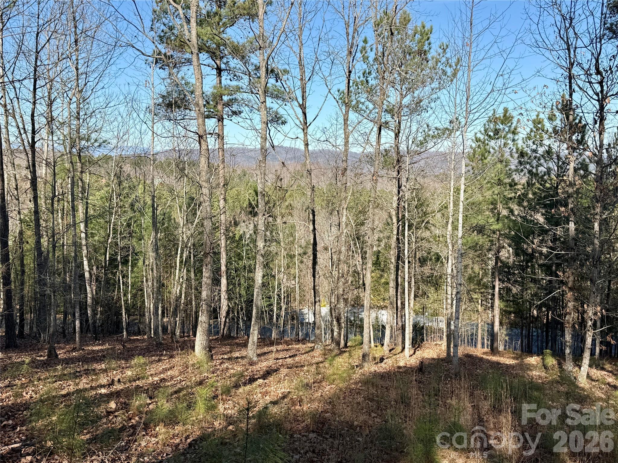 338 Grandview Peaks Drive Nebo NC 28761
