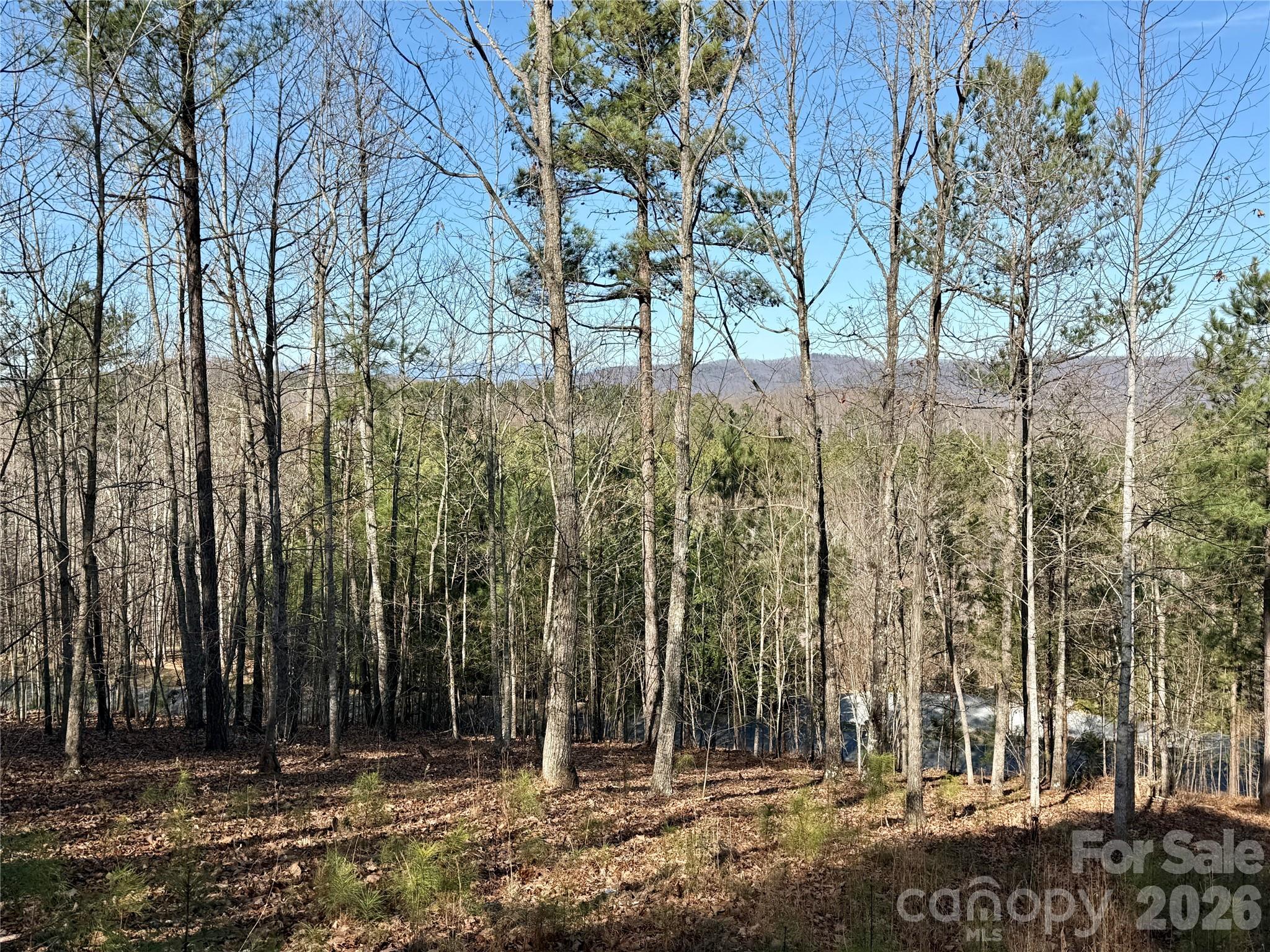 338 Grandview Peaks Drive Nebo NC 28761