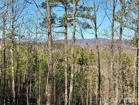 338 Grandview Peaks Drive Nebo NC 28761