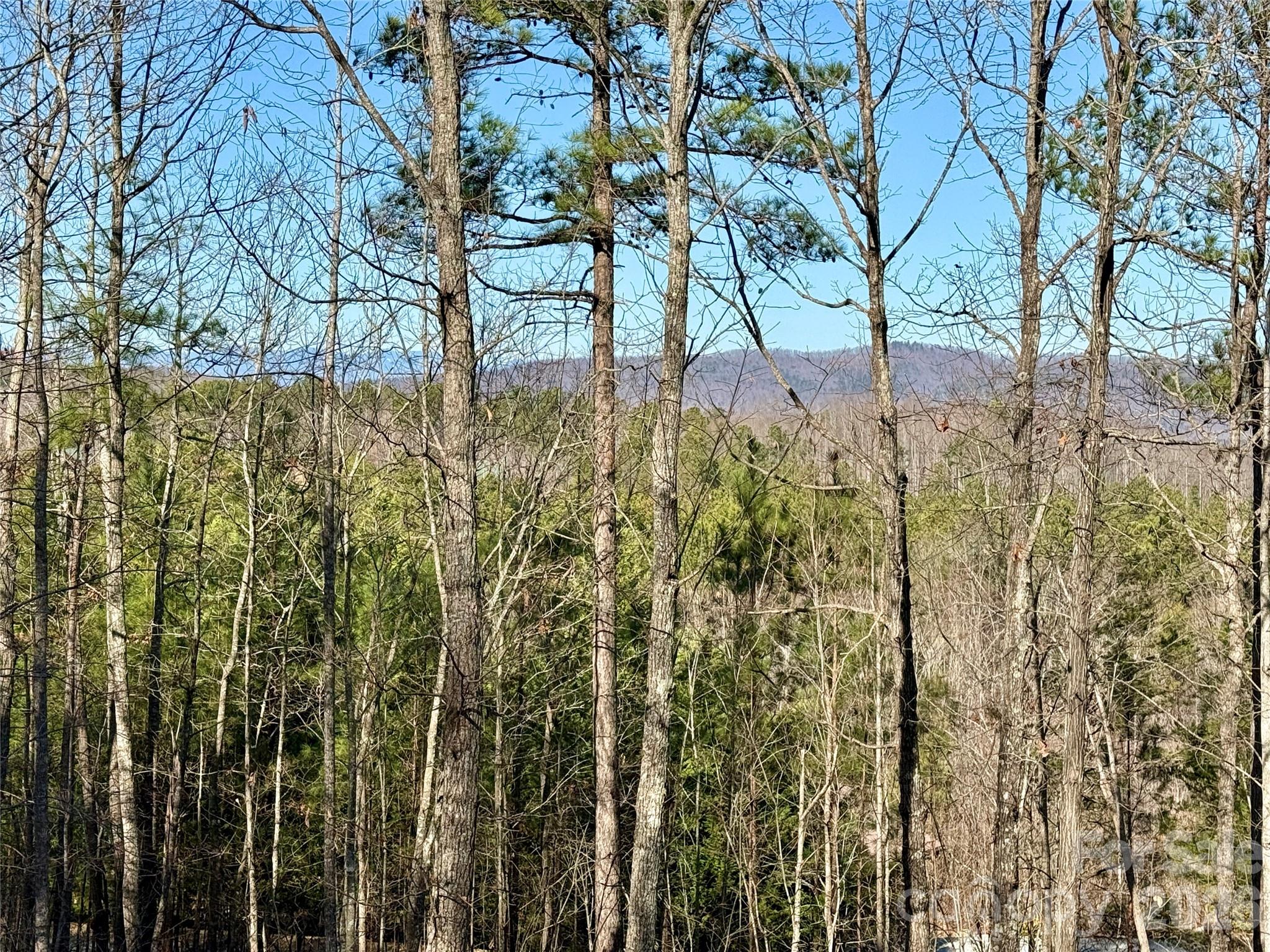 338 Grandview Peaks Drive Nebo NC 28761
