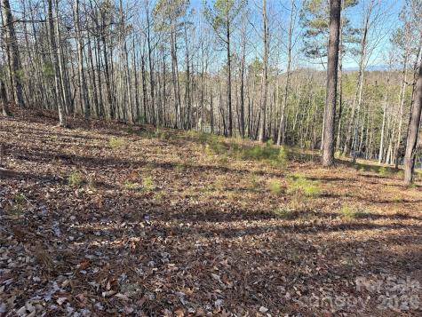 338 Grandview Peaks Drive Nebo NC 28761