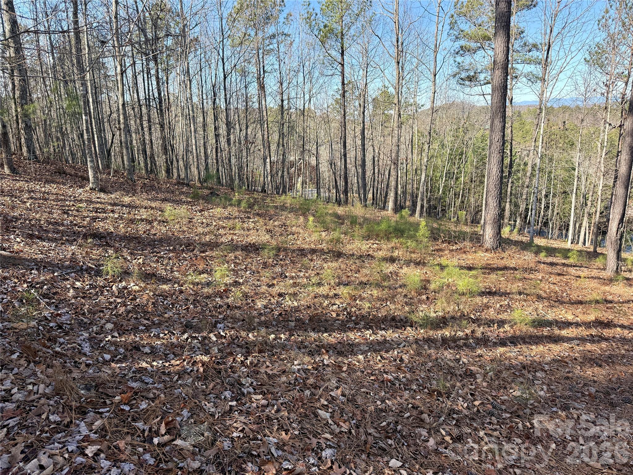 338 Grandview Peaks Drive Nebo NC 28761