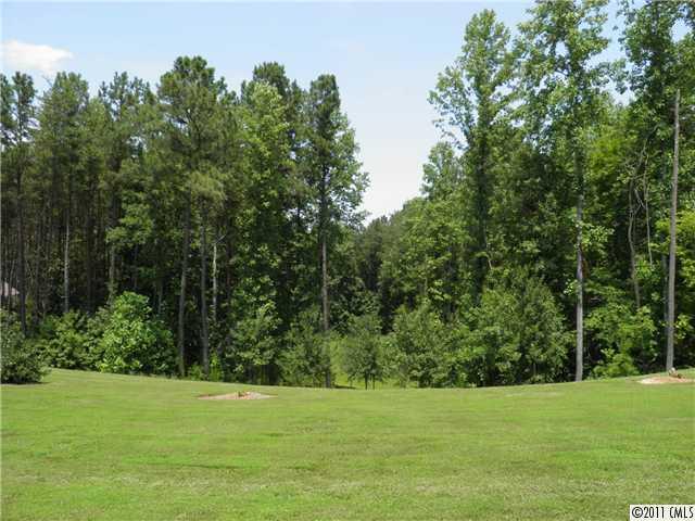 4616 Gold Finch Drive Denver NC 28037