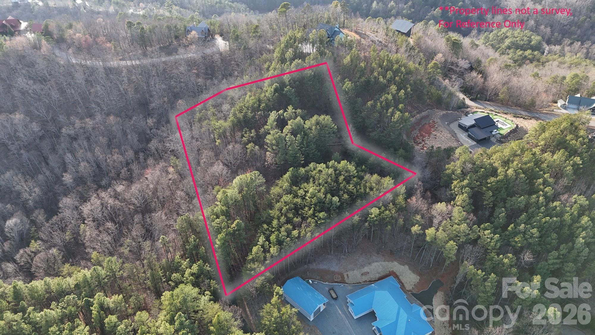 0 Cozy Lane Lake Lure NC 28139