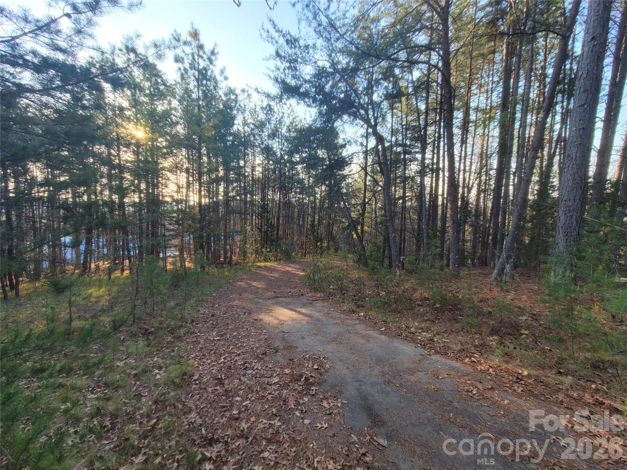0 Cozy Lane Lake Lure NC 28139