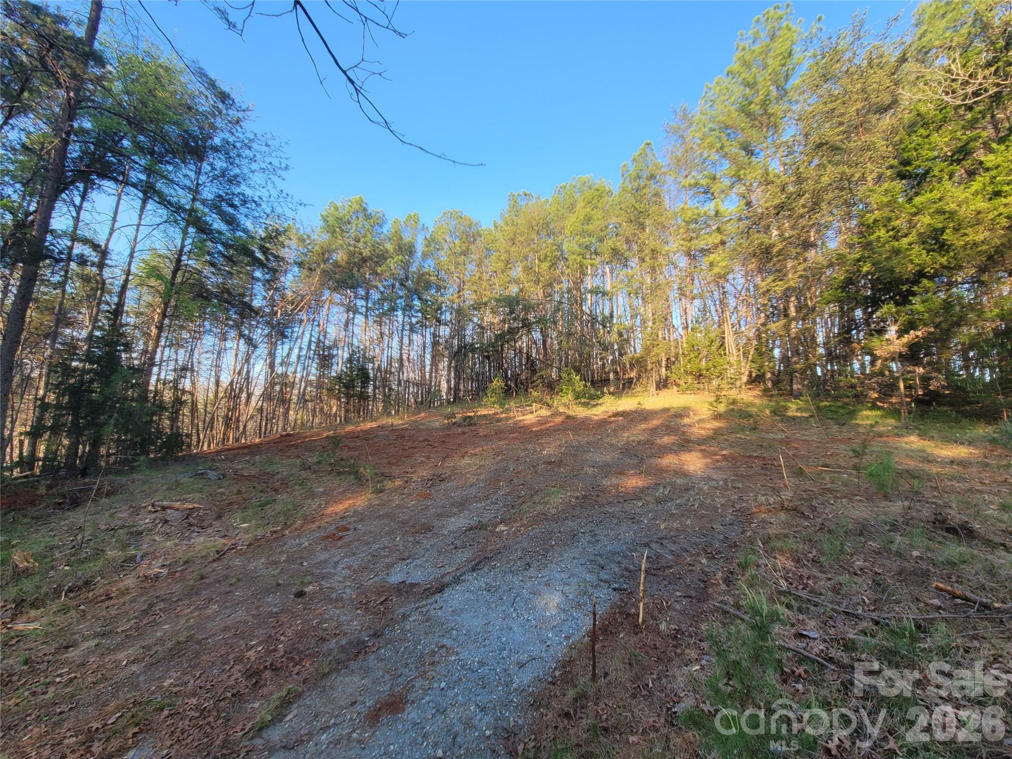 0 Cozy Lane Lake Lure NC 28139