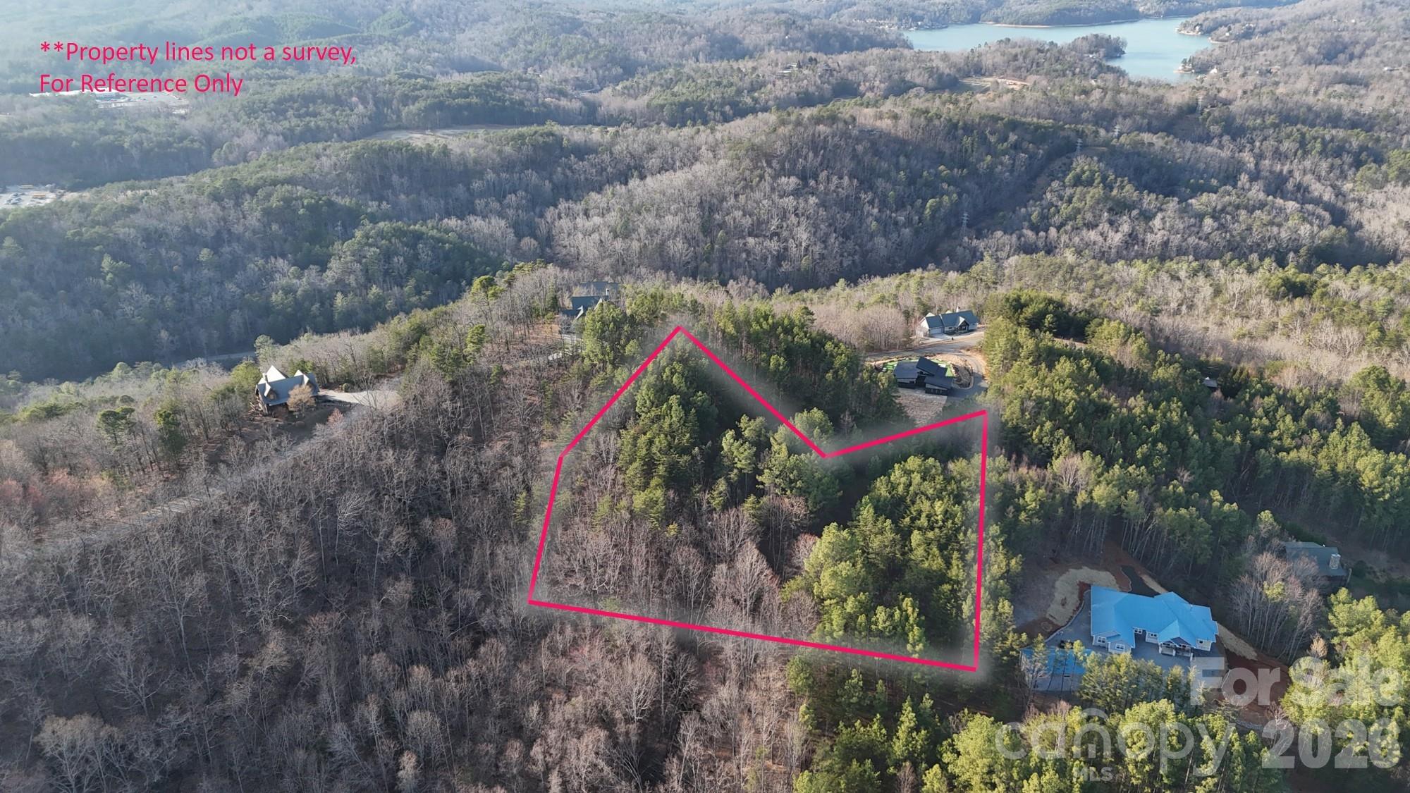 0 Cozy Lane Lake Lure NC 28139