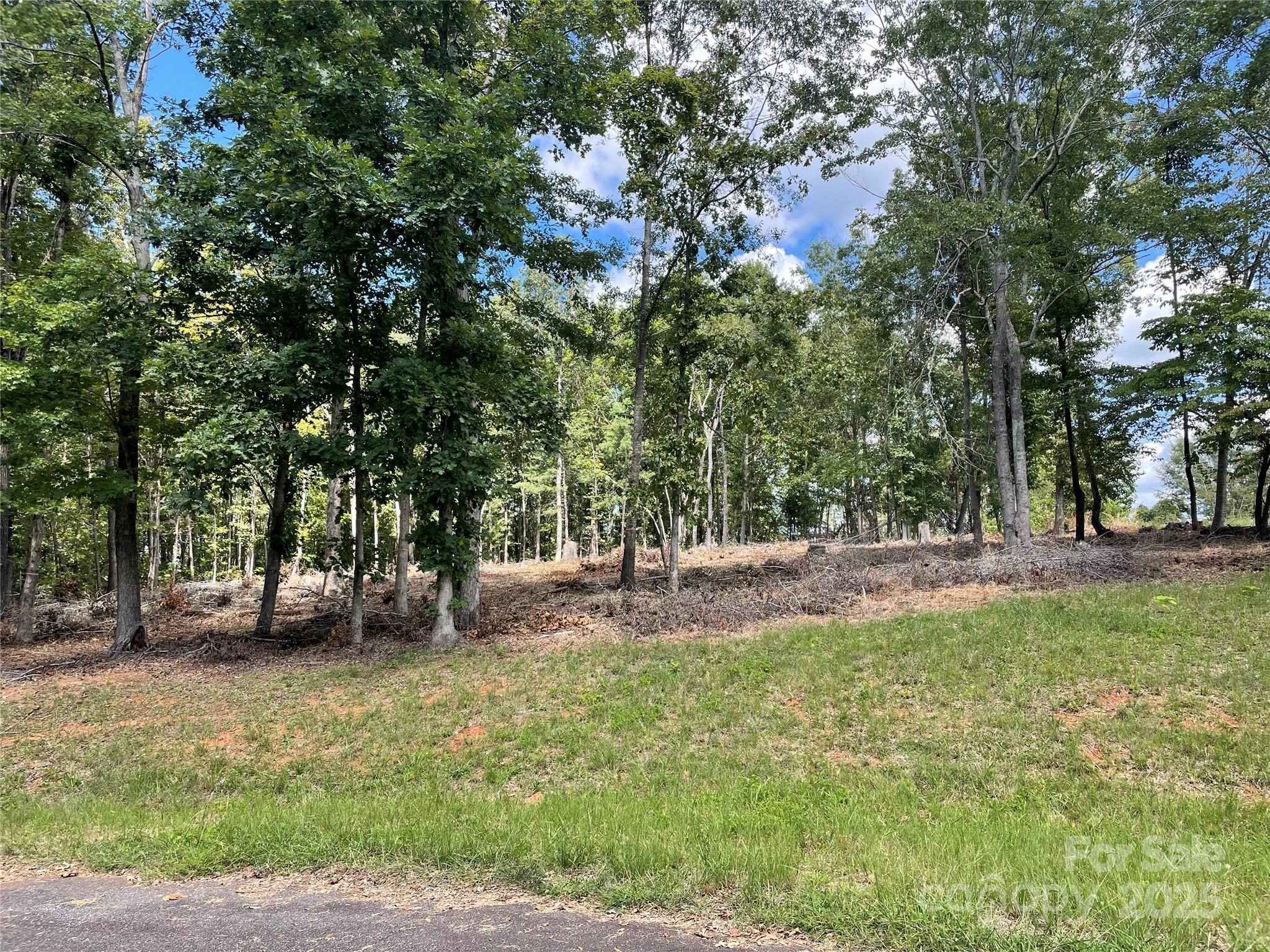 00 Carriage Drive Rutherfordton NC 28139