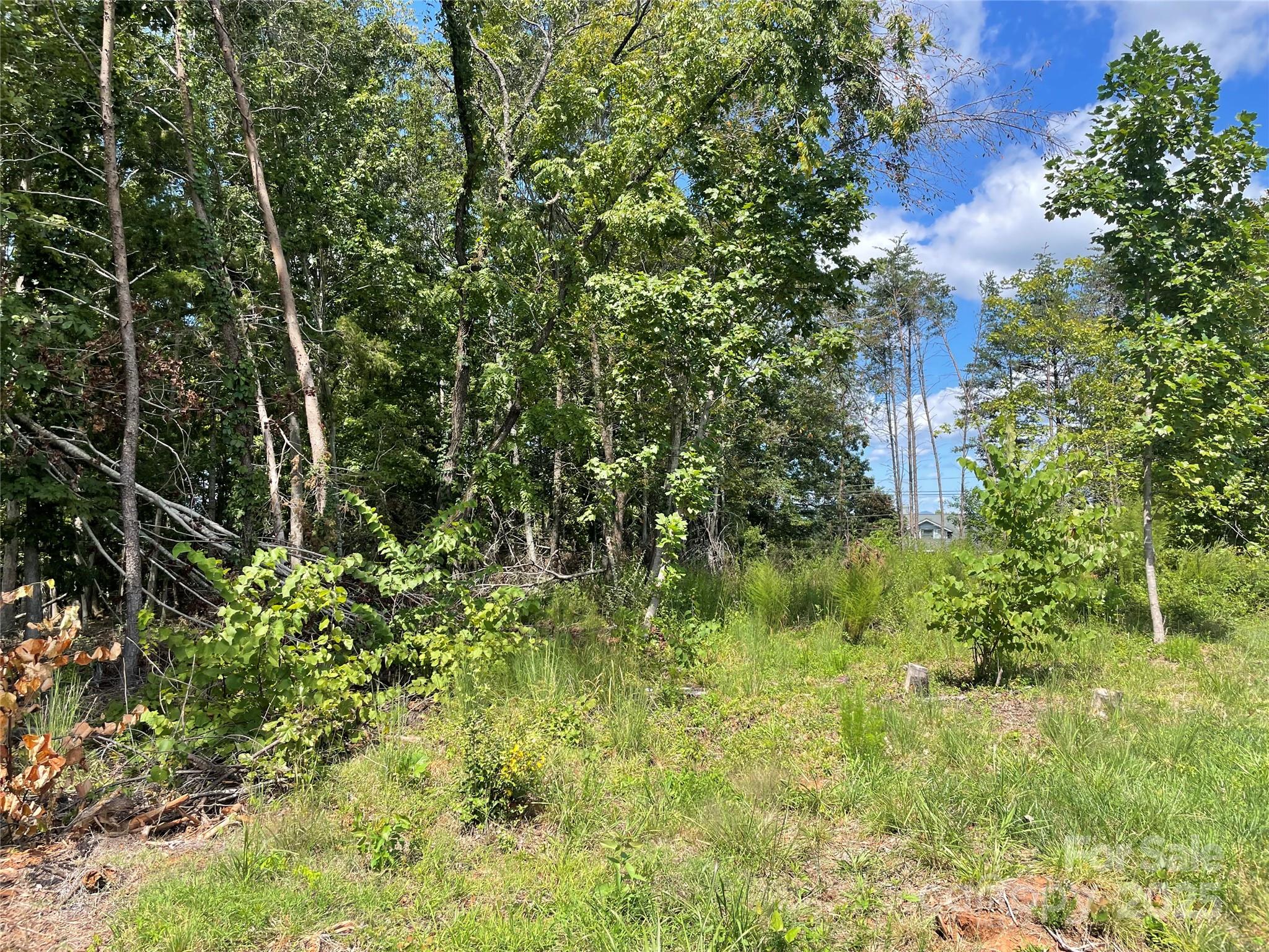 00 Carriage Drive Rutherfordton NC 28139