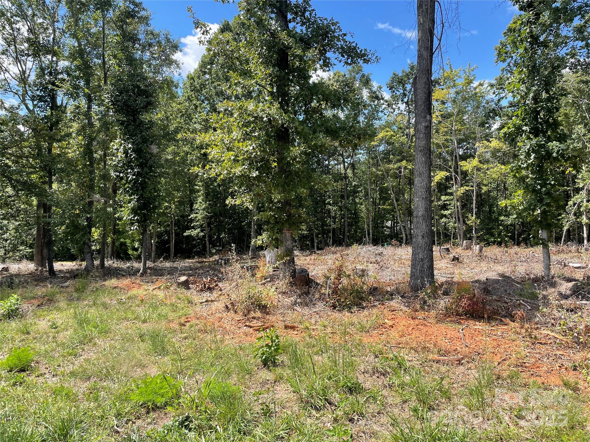 00 Carriage Drive Rutherfordton NC 28139
