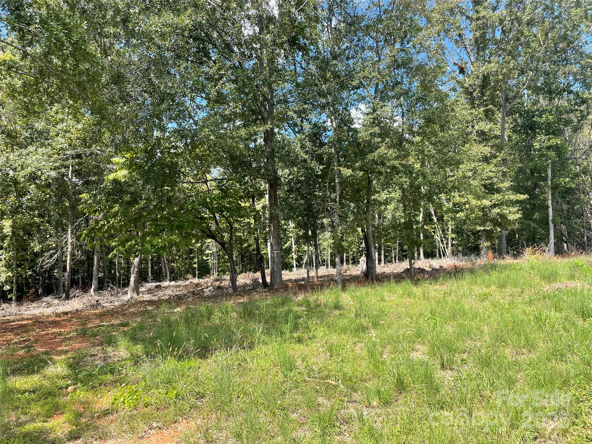 00 Carriage Drive Rutherfordton NC 28139