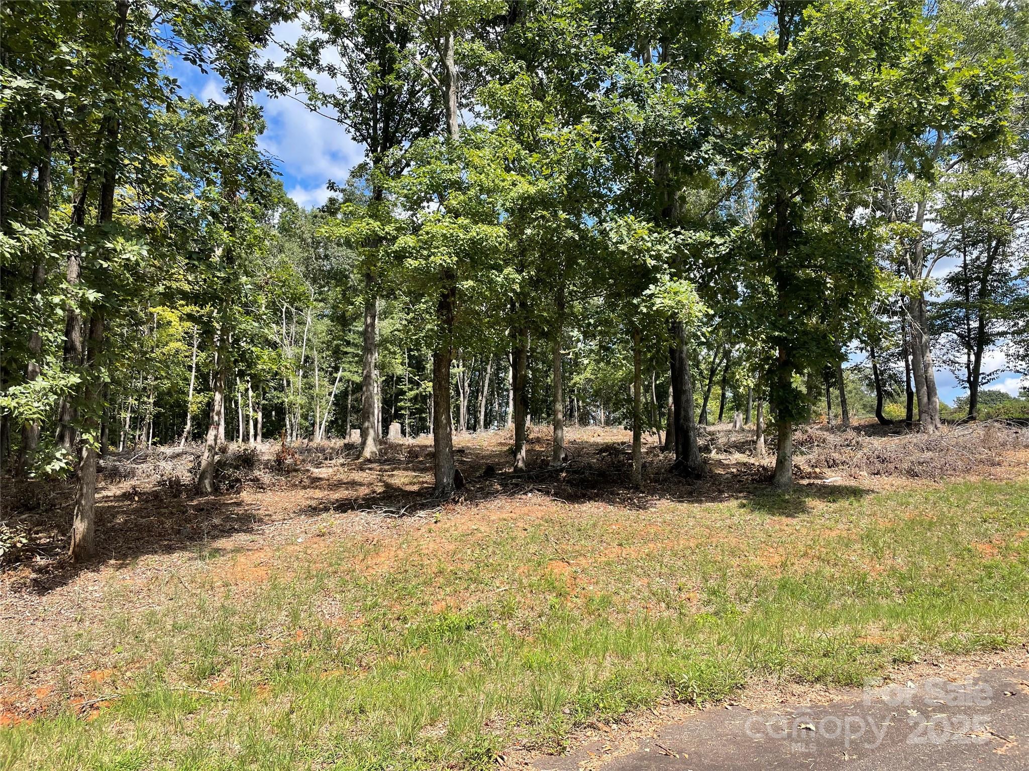 00 Carriage Drive Rutherfordton NC 28139