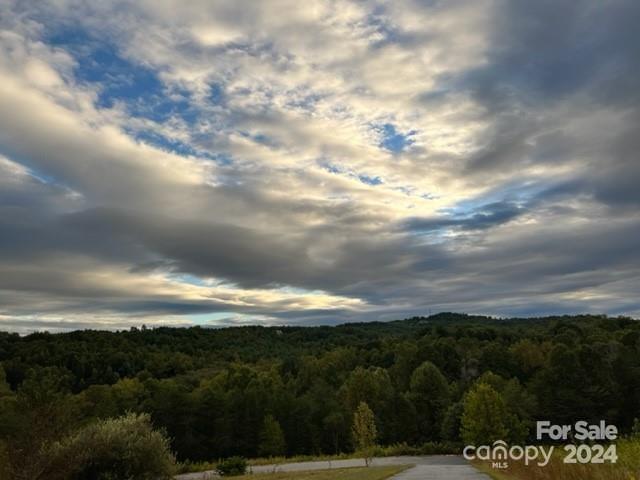 00 Stow-a-way Drive Nebo NC 28761