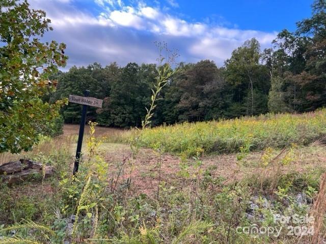 00 Stow-a-way Drive Nebo NC 28761