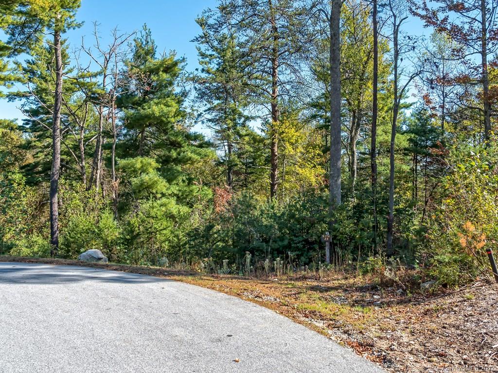 90 Dusky Court Hendersonville NC 28739