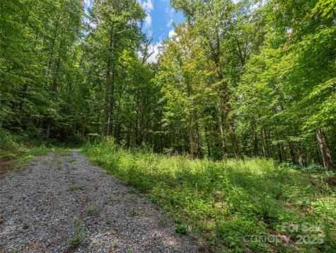 000 Flowing Brook Lane Waynesville NC 28786