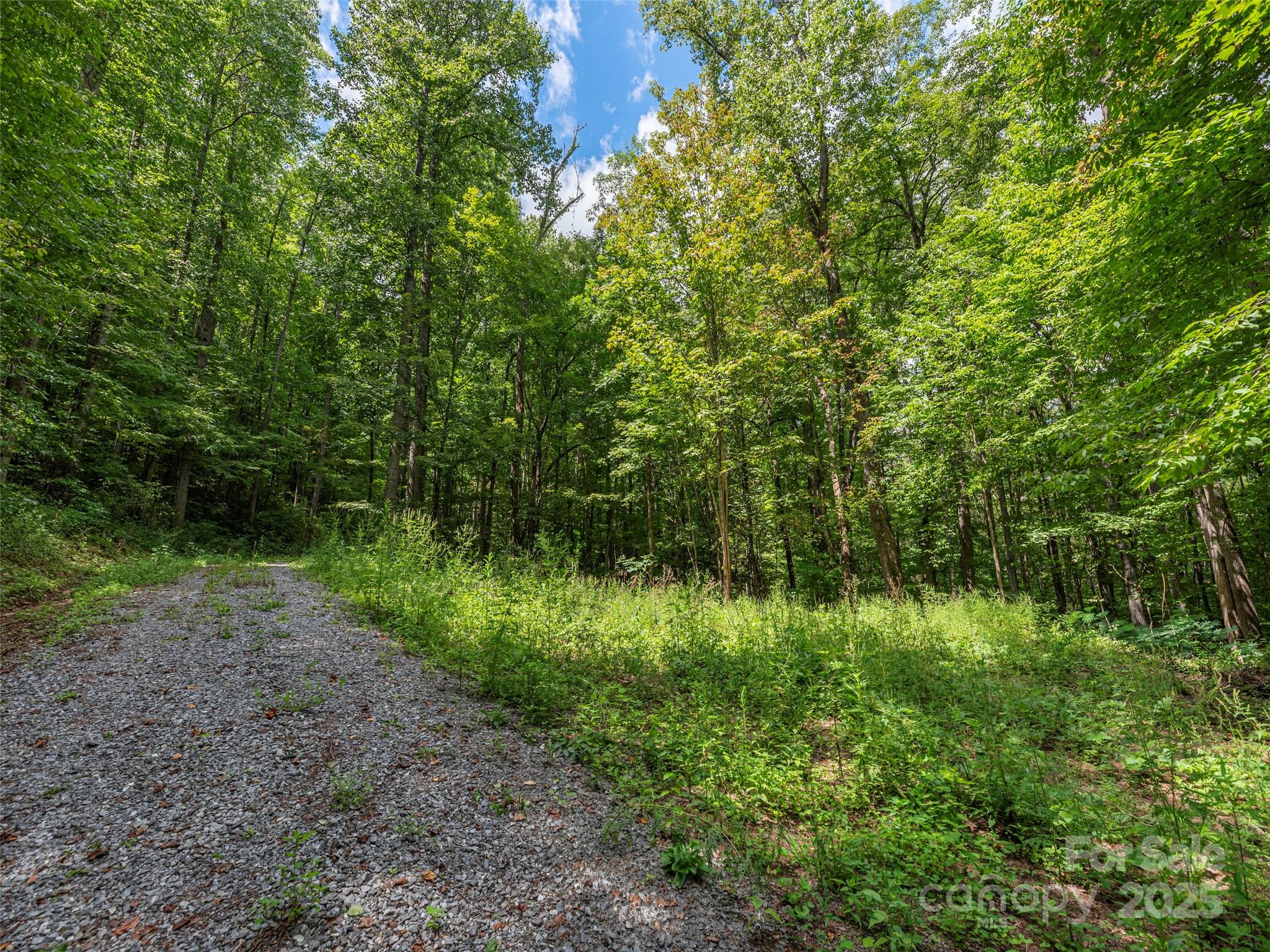000 Flowing Brook Lane Waynesville NC 28786