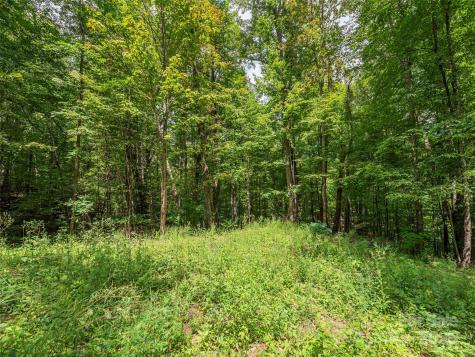 000 Flowing Brook Lane Waynesville NC 28786
