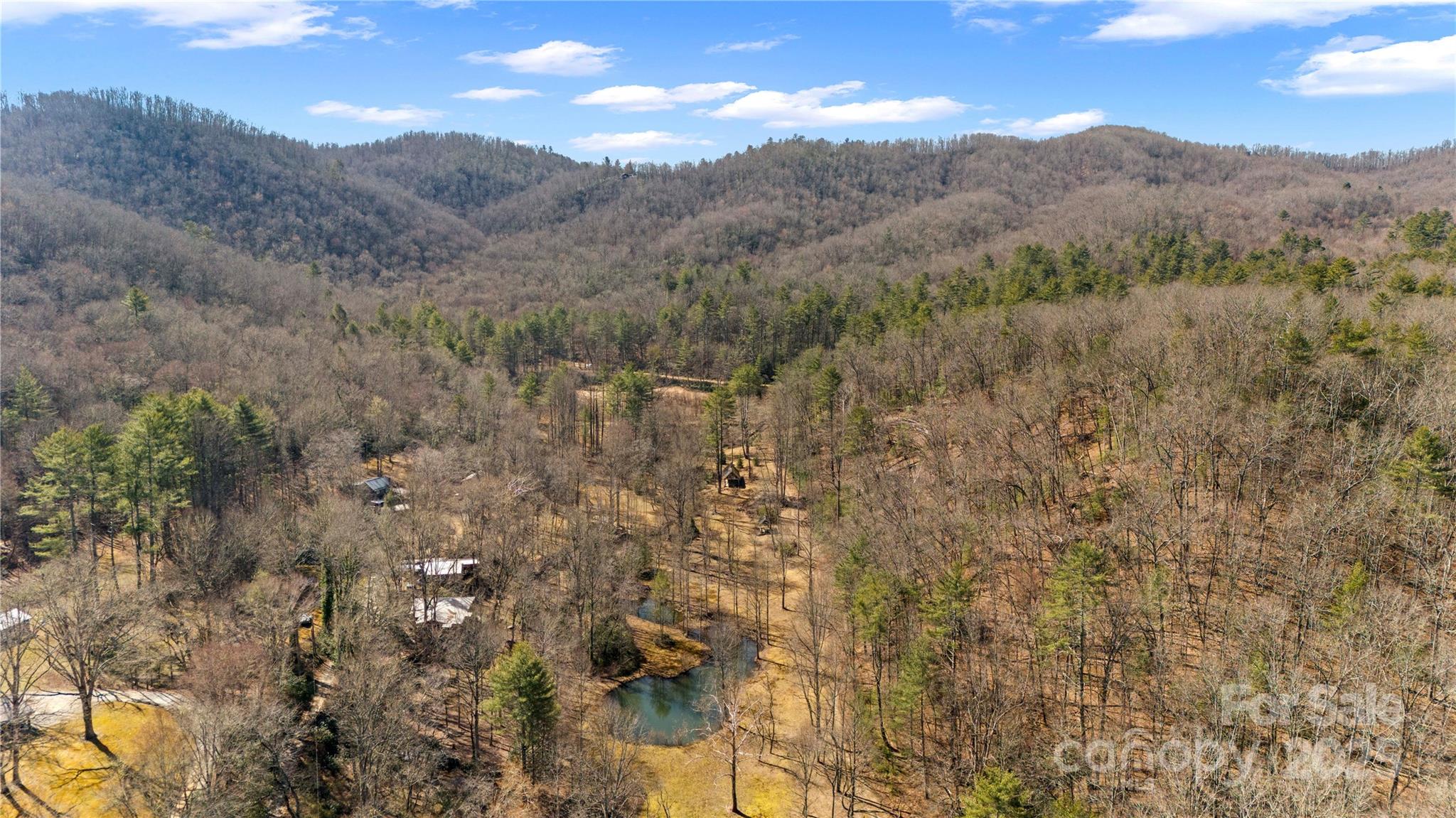 361 Rooster Cove Brevard NC 28712