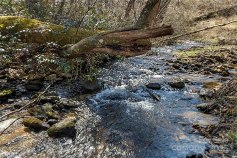 361 Rooster Cove Brevard NC 28712