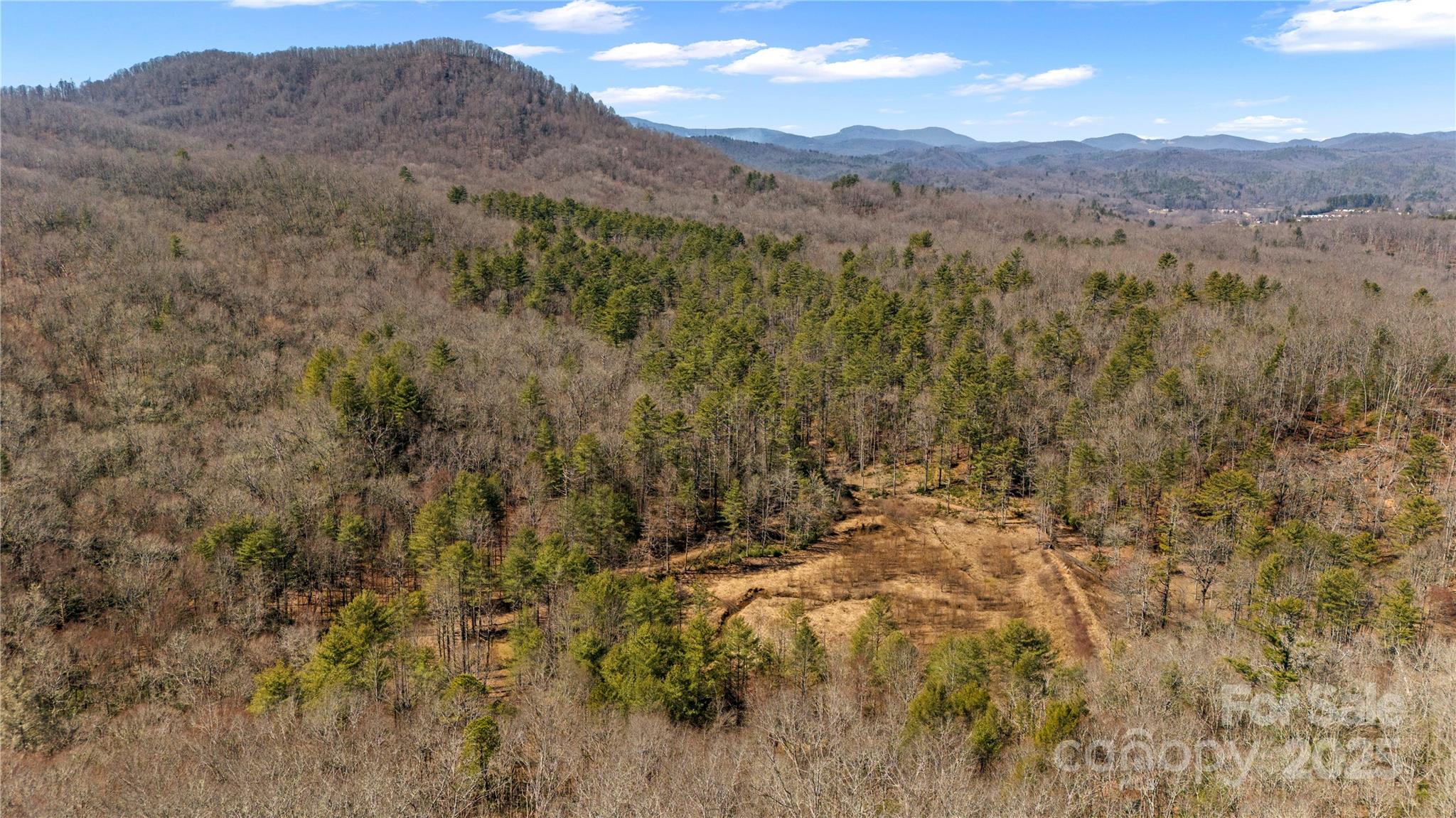 361 Rooster Cove Brevard NC 28712