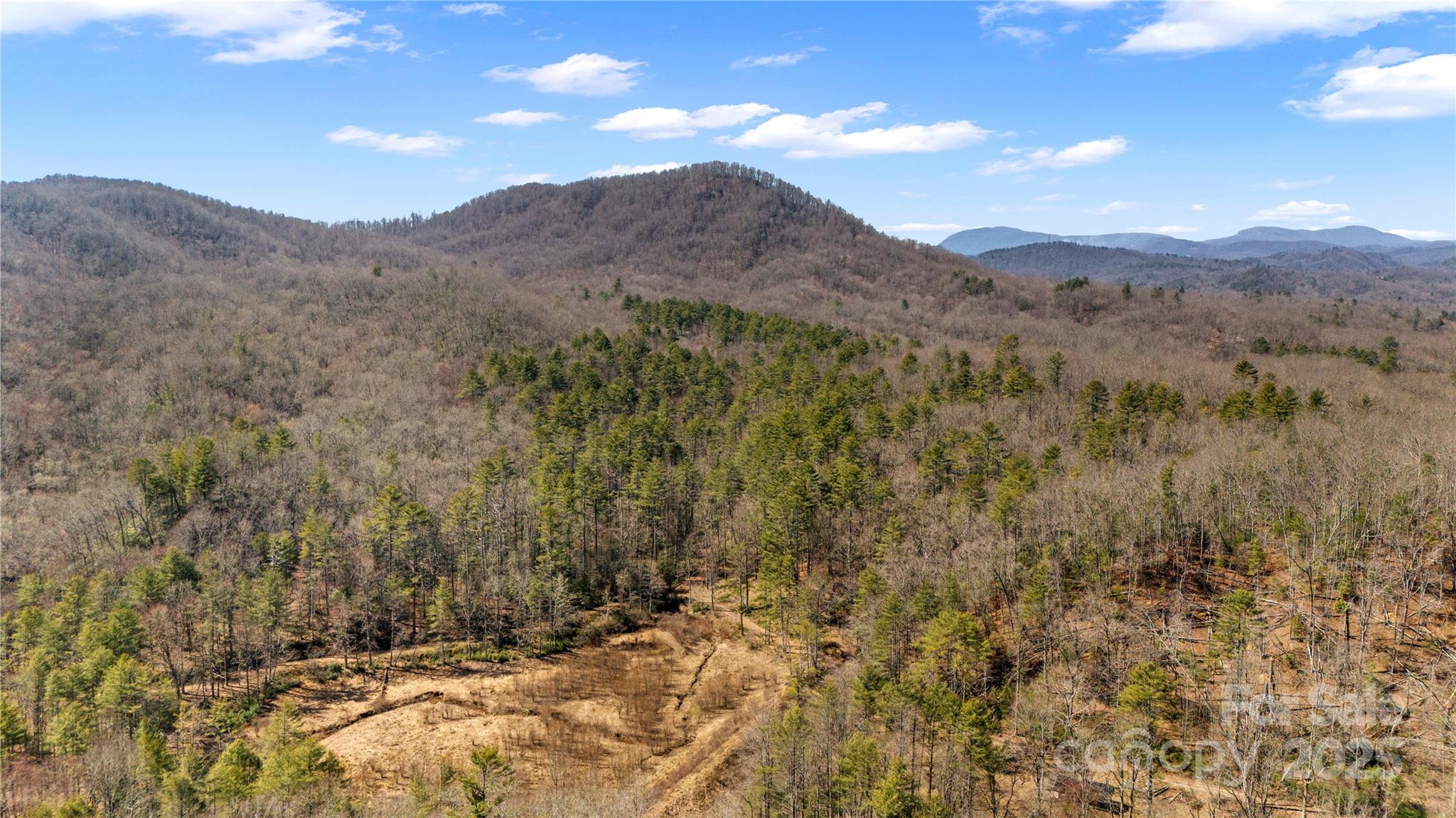361 Rooster Cove Brevard NC 28712