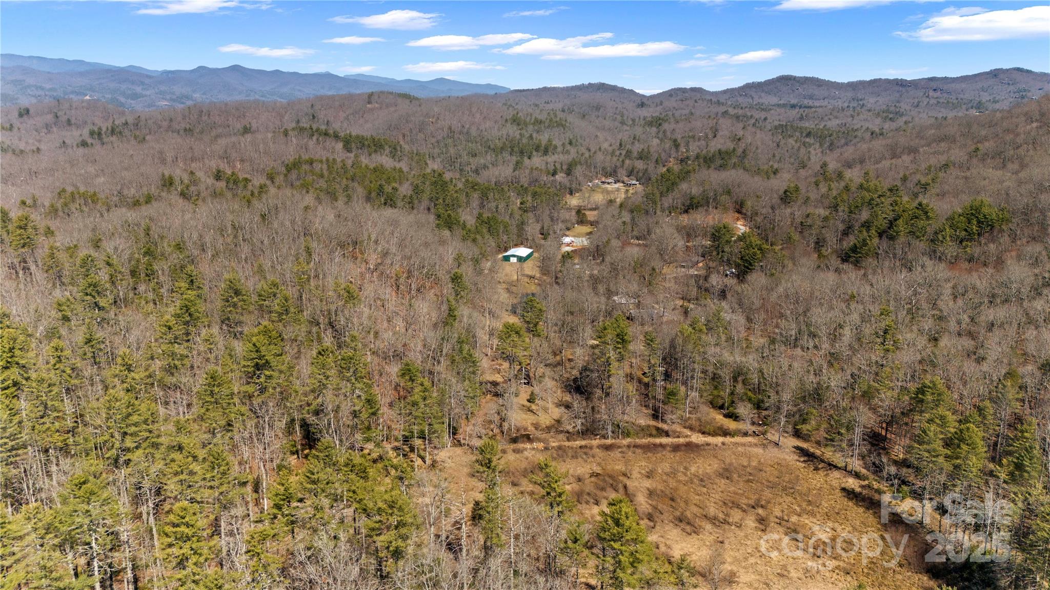361 Rooster Cove Brevard NC 28712
