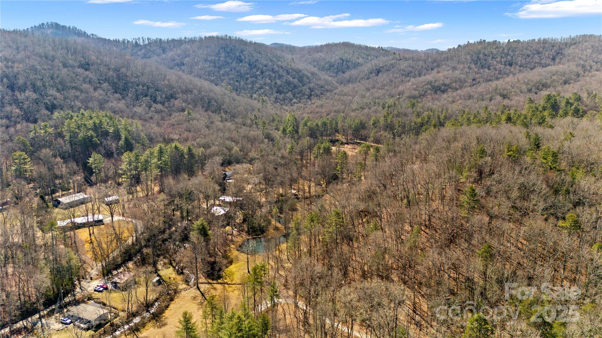 361 Rooster Cove Brevard NC 28712