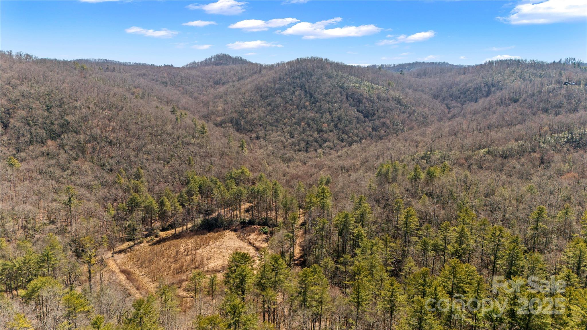 361 Rooster Cove Brevard NC 28712