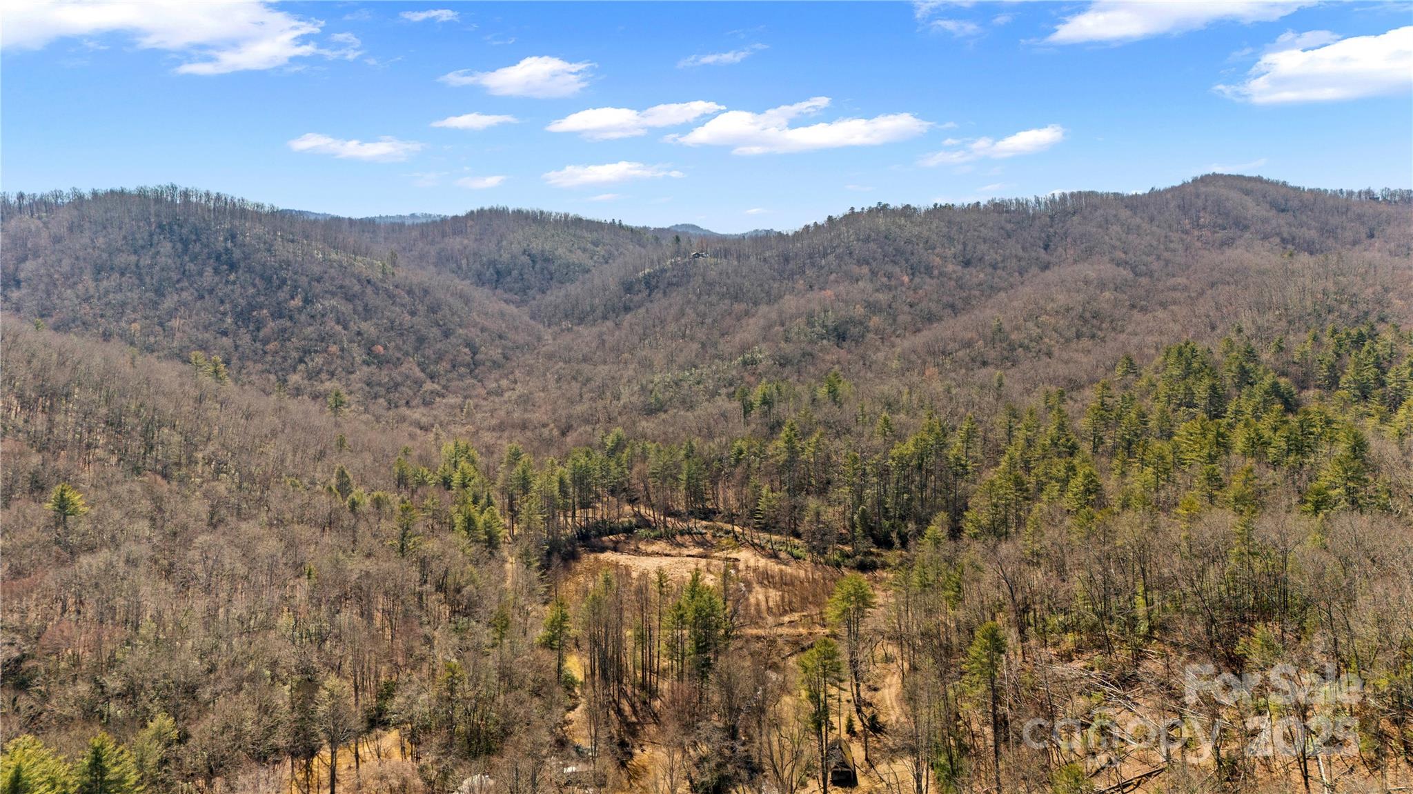 361 Rooster Cove Brevard NC 28712