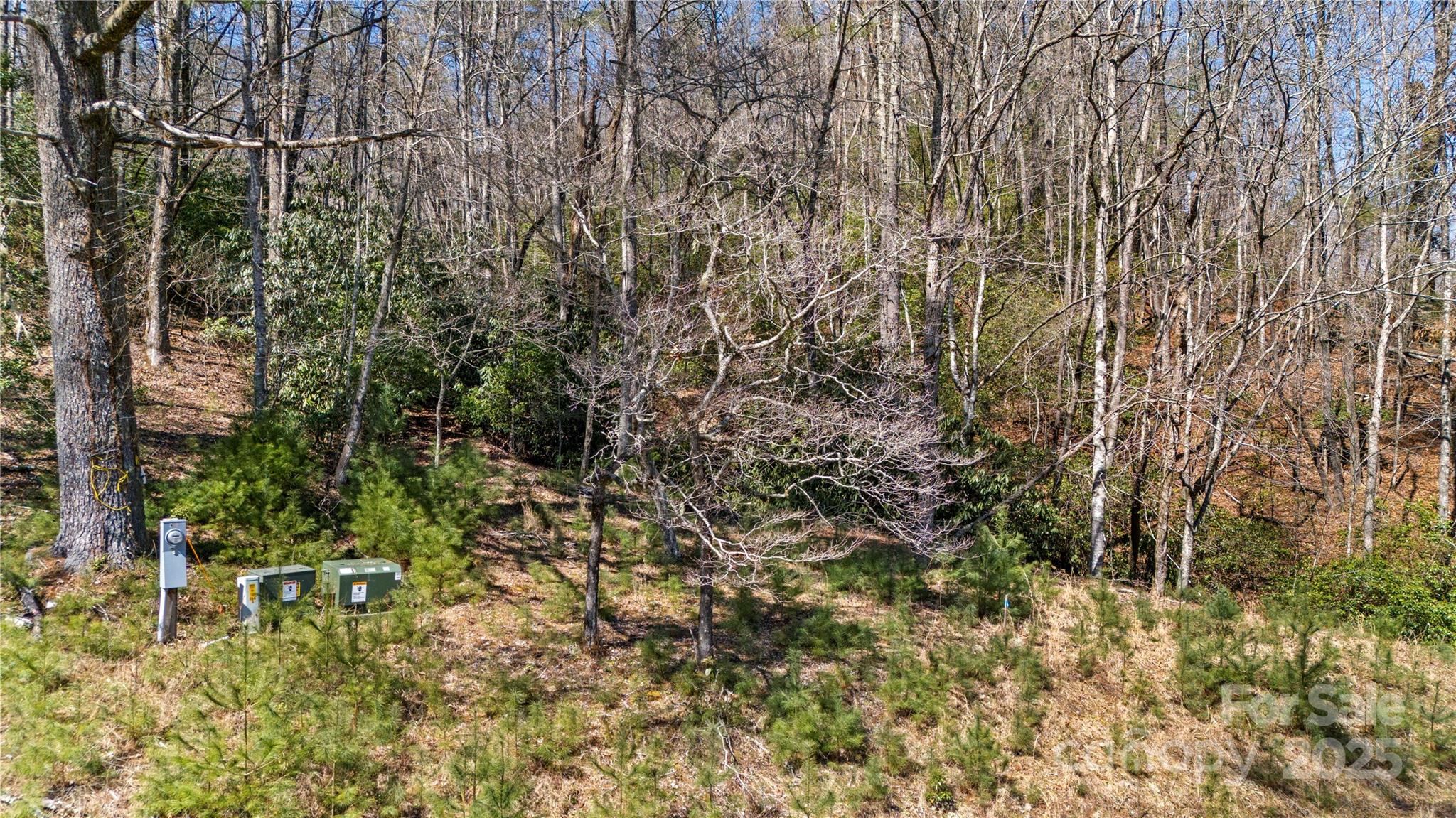 361 Rooster Cove Brevard NC 28712